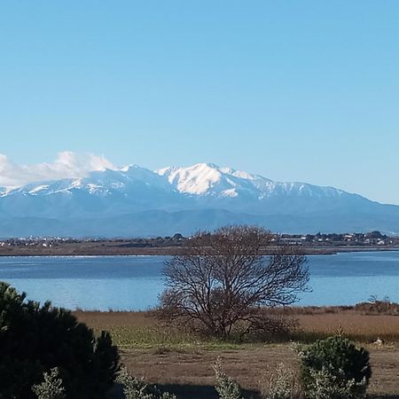 Le Capestang Appartement Canet-en-Roussillon Buitenkant foto