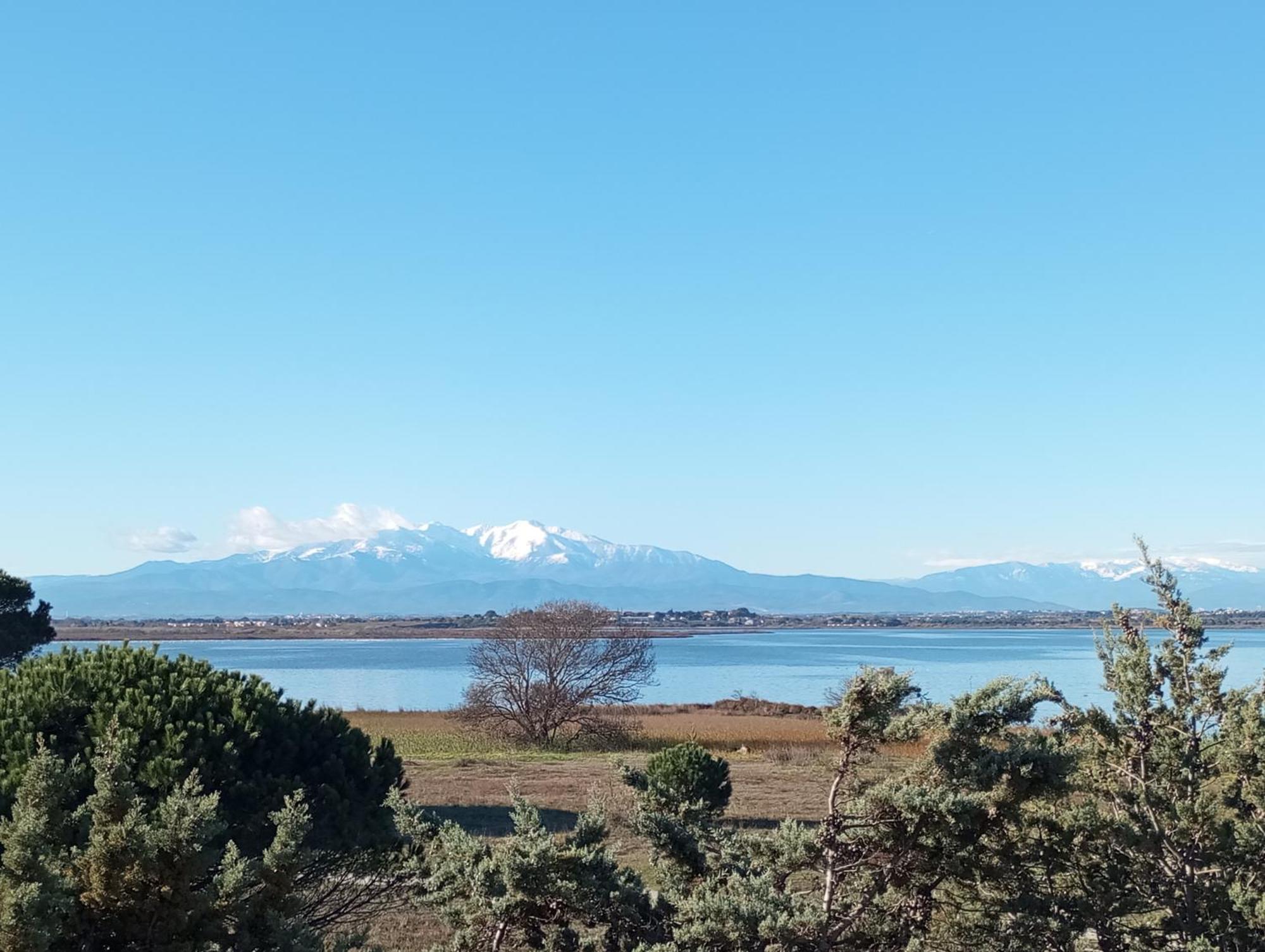 Le Capestang Appartement Canet-en-Roussillon Buitenkant foto