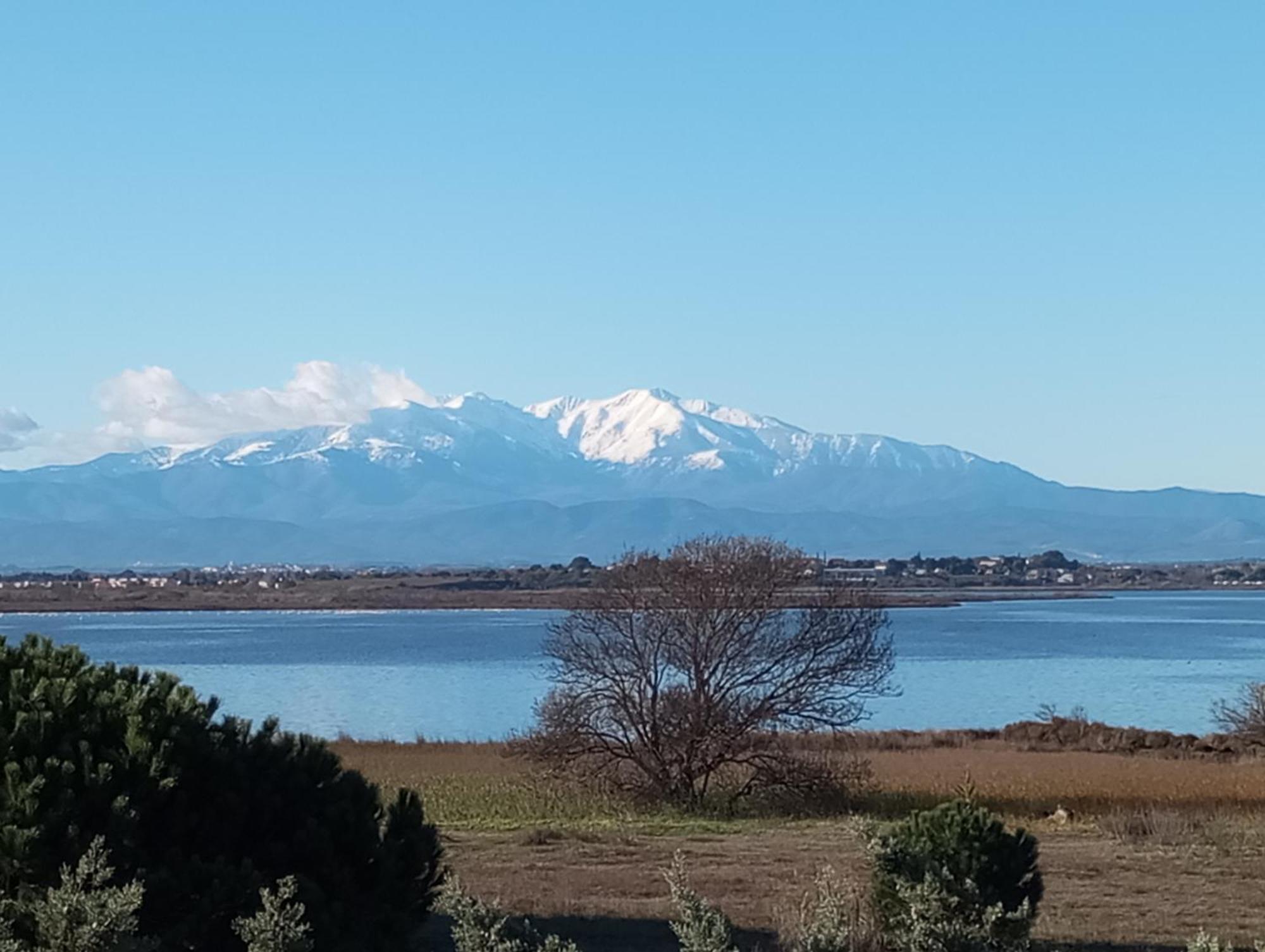 Le Capestang Appartement Canet-en-Roussillon Buitenkant foto